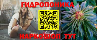 mdpv Рыбинск