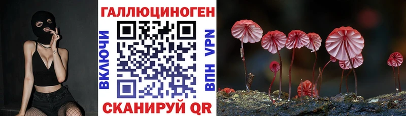 Галлюциногенные грибы Psilocybine cubensis  Симферополь 