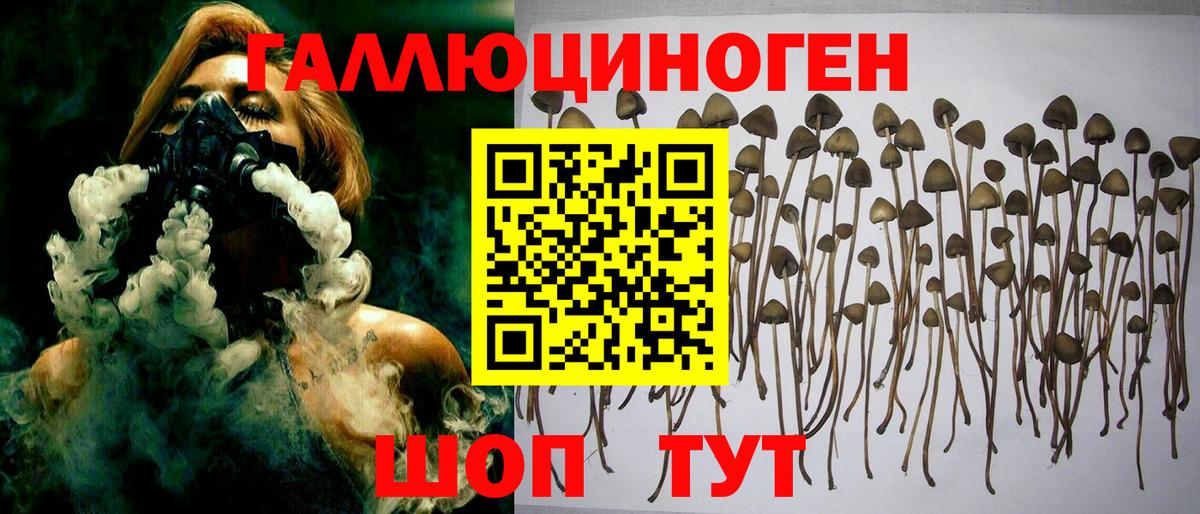 Галлюциногенные грибы Psilocybe Симферополь