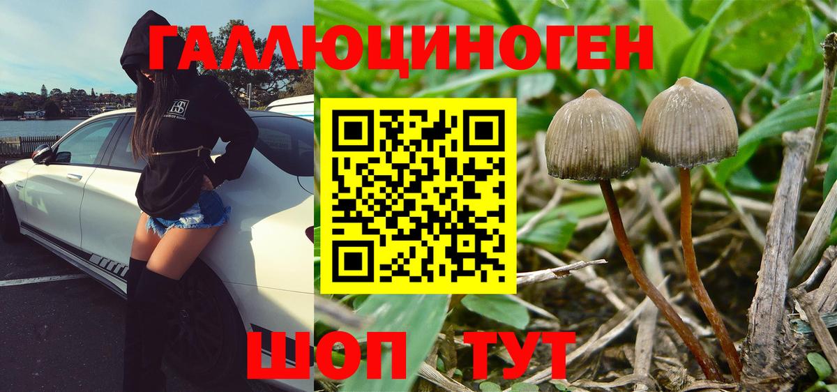 Симферополь  наркотики  Псилоцибиновые грибы MAGIC MUSHROOMS  Вход с VPN  Галлюциногенные грибы Psilocybe 
