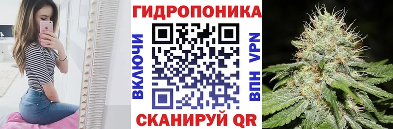 сколько стоит  Симферополь  Конопля гибрид 